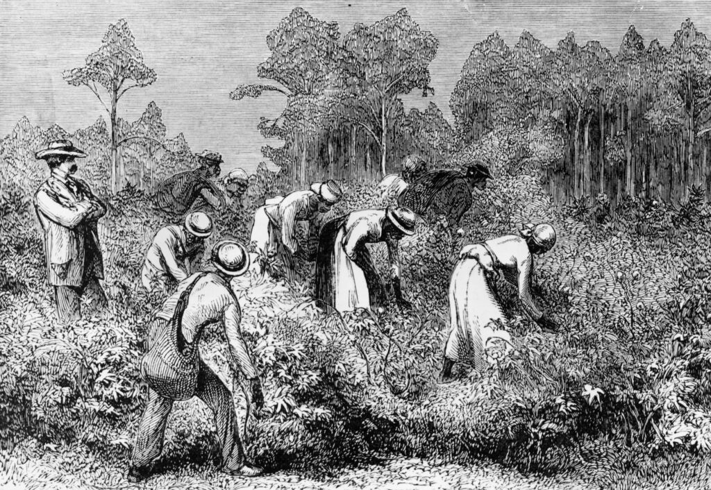 Tut, a Language Used by Enslaved Africans, Is Resurfacing on Social Media