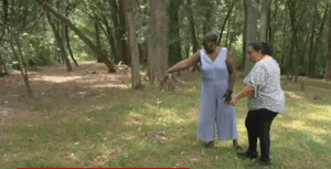 What?? Nearly 100 Graves of Black Slaves Discovered Near a Virginia Waterpark