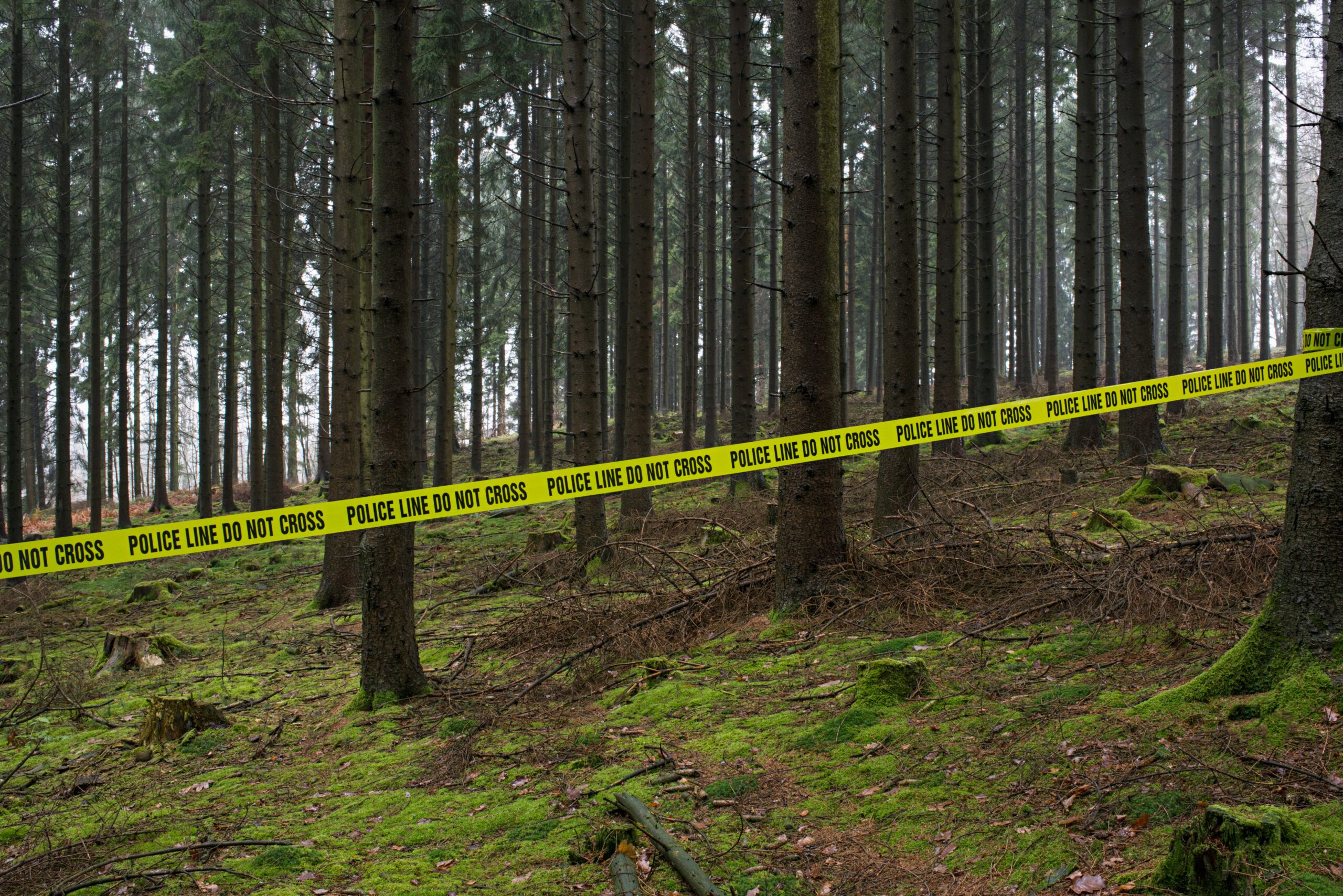 Photo: iStock by Getty Images Joos Mind