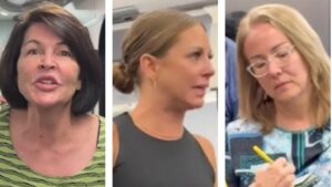 Another Airplane ‘Karen?’ L.A. Airplane Passenger’s Racial Tirade Is the Latest in a Long Line of Airline ‘Karen’ Behavior
