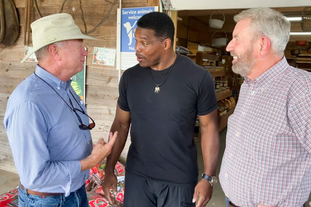 How Much Has Herschel Walker Given To Charity?