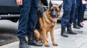 FBI Investigates Missouri Officers Following Video Of Police Dog Biting Black Man