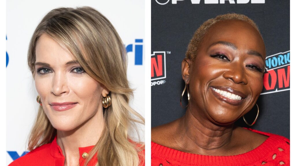 No She Didn’t! Eternal Karen Megyn Kelly Comes For Joy Reid’s Hair in New Rant
