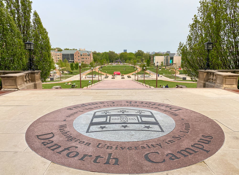 Mural That Depicts Prominent Black People at Washington University Vandalized With Racist Symbols