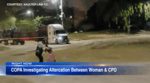 Black Woman Walking Dog on the Beach Is Handled Aggressively by Chicago Cop