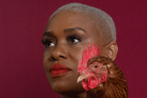 See How a Georgia Woman is Making the Most of the High Cost of Eggs