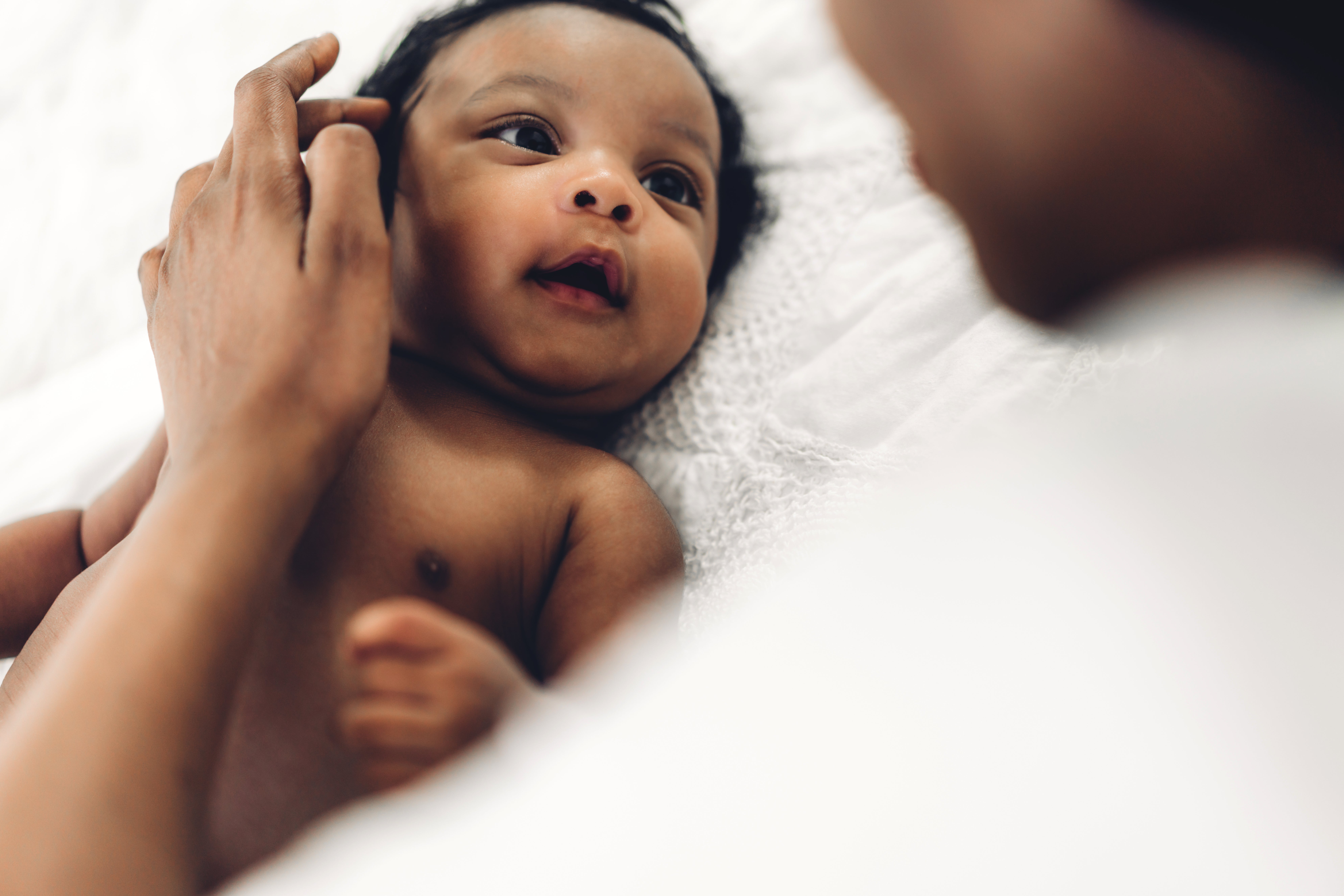 Photo: Shutterstock Art_Photo
