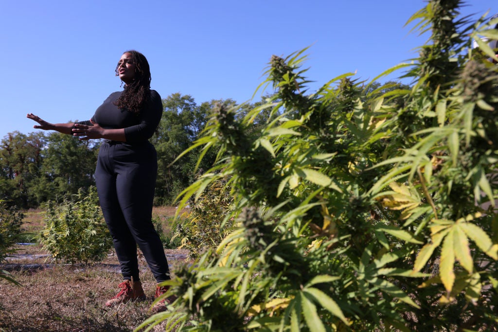 Will Biden’s Marijuana Executive Pardons Lesson the War on Drugs on Black Citizens?