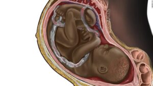 Aspiring Neurosurgeon to Have his Medical Illustrations Showing Black People Published