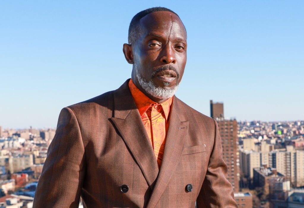Drug Dealer Connected to Michael K. Williams Overdose Receives Surprising Sentence