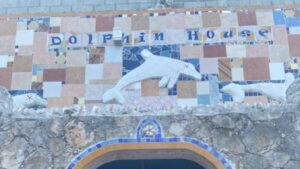 Bahamas Chronicles: 3 Must-See Sites You Need to Explore on Bimini Island