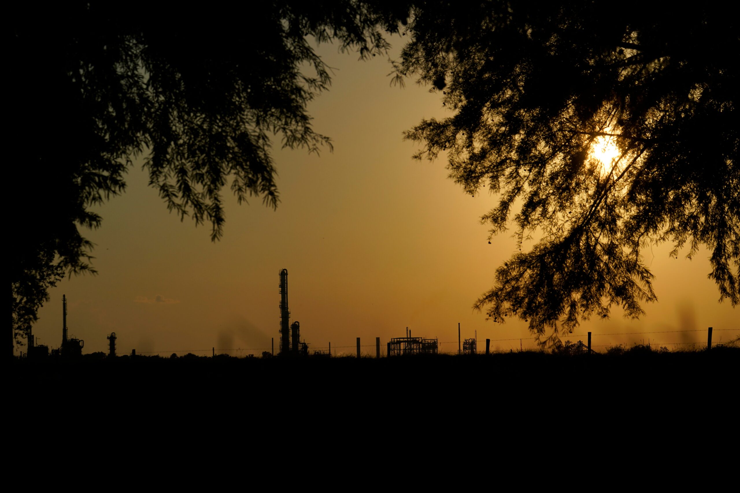 Photo: AP Gerald Herbert