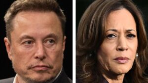 Elon Musk Says Black ’60 Minutes’ Journalist Deserves ‘Long Prison Sentence’ Over Kamala Harris Interview