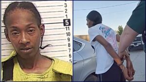 Fla. Woman Caught for Impersonating ICE Agent in Crazy Revenge Plot Against Her Ex’s Wife