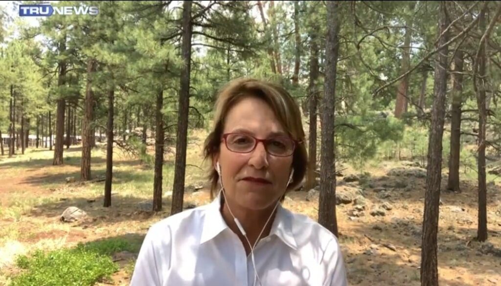Arizona Sen. Wendy Rogers Says She Likes Confederates but Doesn’t Like ‘Traitors Who Hate America.’ So Here’s the Thing…