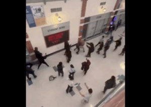 Chaos Ensues at Maryland School Ahead of Christmas Break