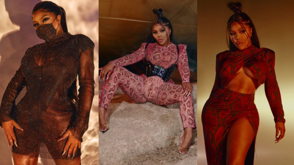 How Many Prints Does It Take to Slay Like the Queen Bee? The PrettyLittleThing x Lil’ Kim Collab Might Hold the Answer