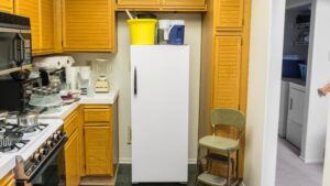 Is the Top of the Refrigerator a Shelf? A Black Supreme Court Decision