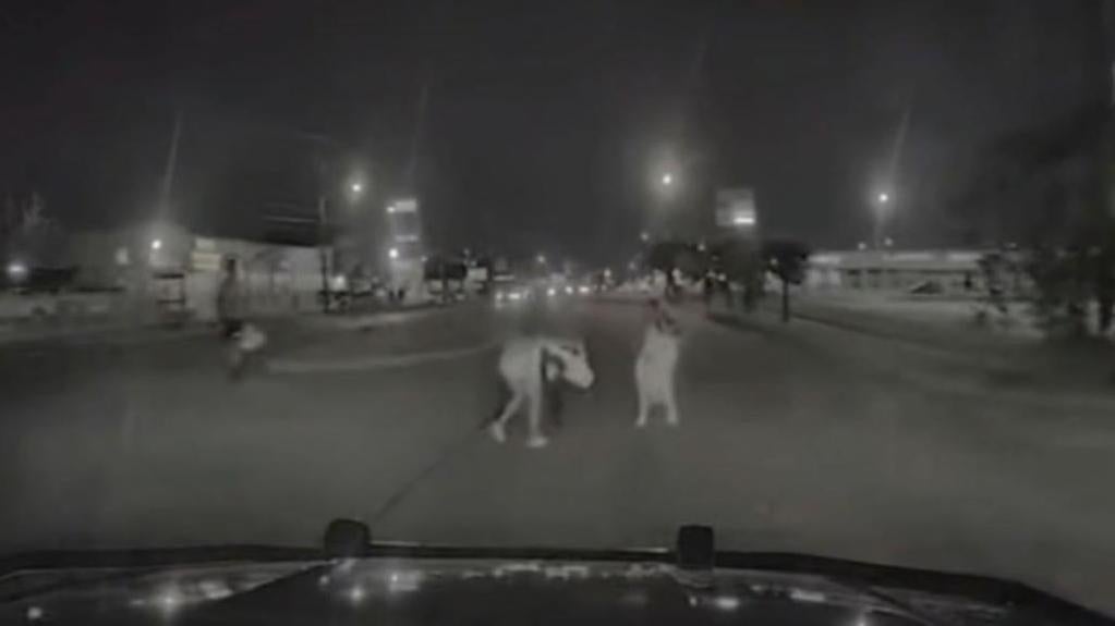 Why is this Houston Cop Who Fatally Ran Over a Black Woman Back on the Payroll?