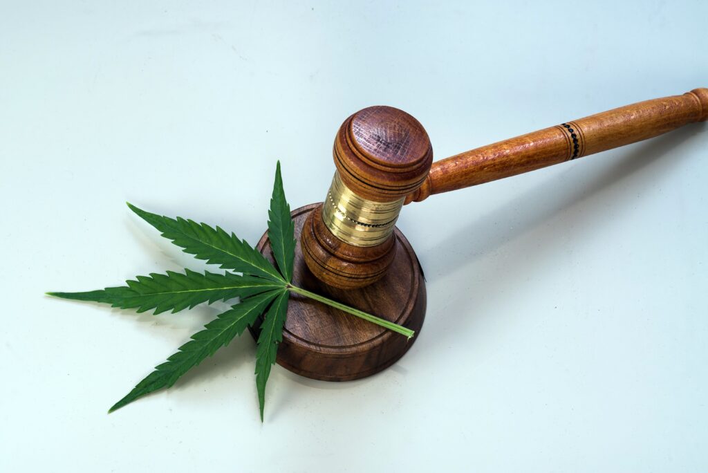 Blacks Are Still Getting Arrested at Higher Rates for Marijuana Possession, Even in States Where It’s Legal