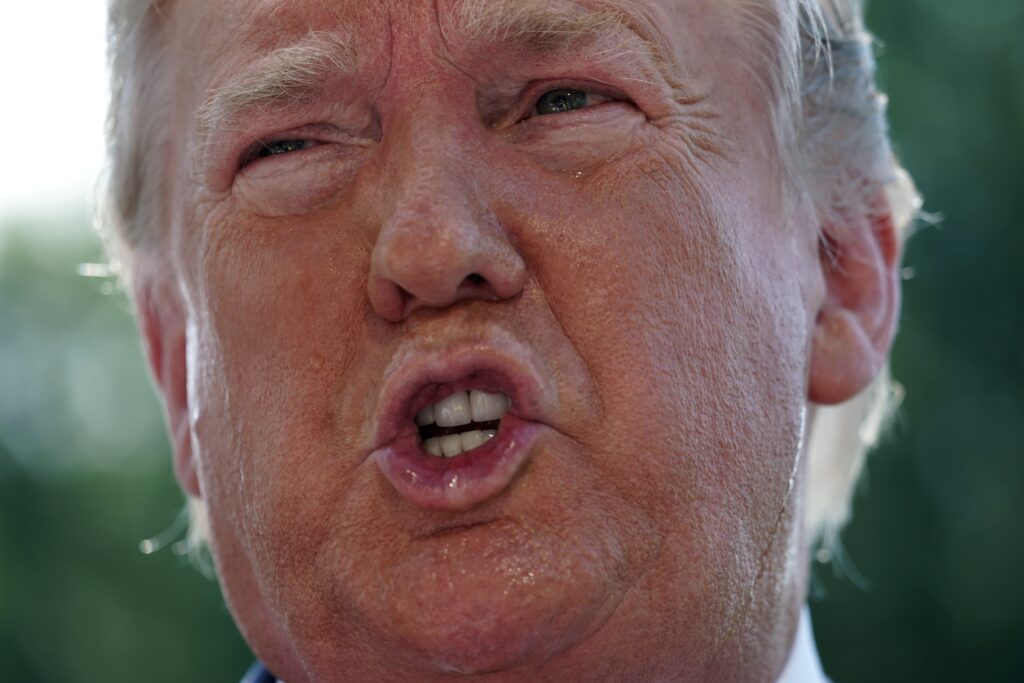 Your Little 'President' Is an Idiot Who Lacks Self-Awareness