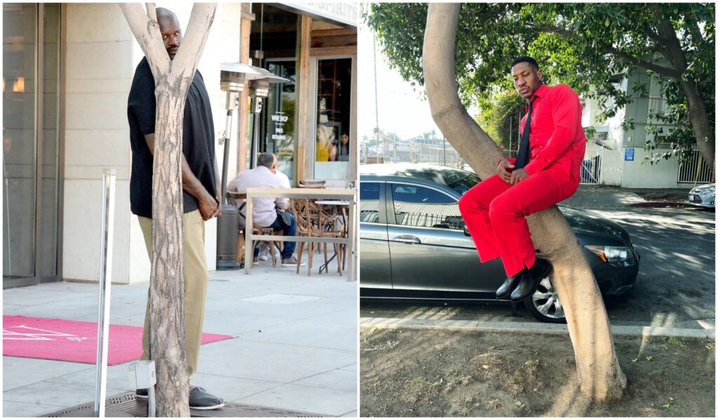 The W Stands for 'Why': What Is Going on With This Shoot for W Magazine—and What's With the Trees?