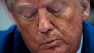 Retail on the Rebound? Trump Touts 17.7 Percent Boost in May Retail Sales—Conveniently Ignoring April's Record Drop