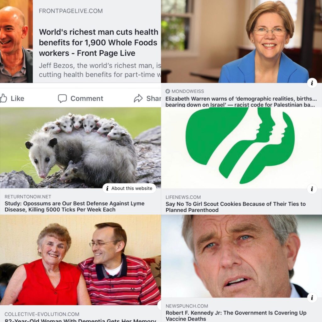 Facebook, Why the Fuck Do You Keep Putting These Spammy Fake News Sites at the Top of My Feed?