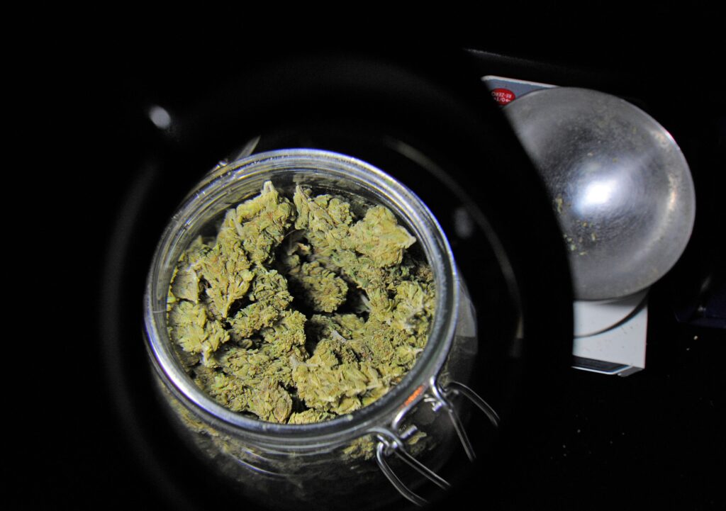 Study Shows Adults Who Can Legally Obtain Cannabis Use It as Substitute for Opioids and Other Prescription Drugs