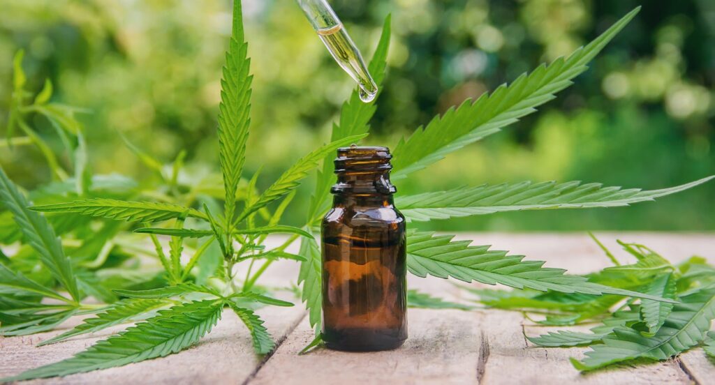 Buds and Beauty: What Is CBD (Cannabidiol) and Why Is it in Everything?