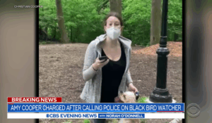 What Would Be an Appropriate Consequence (Or Punishment) for Someone Like Amy Cooper?