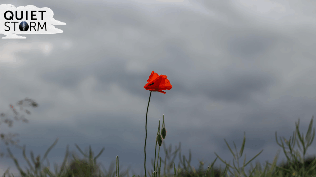 'Quiet Storm': A 2-Week Series About Mental Health on VSB