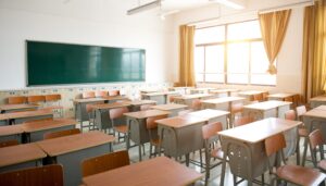 Illinois Lawmaker and Community Leaders Are Working to Suspend Current History Curriculum That 'Leads to White Privilege and a Racist Society'