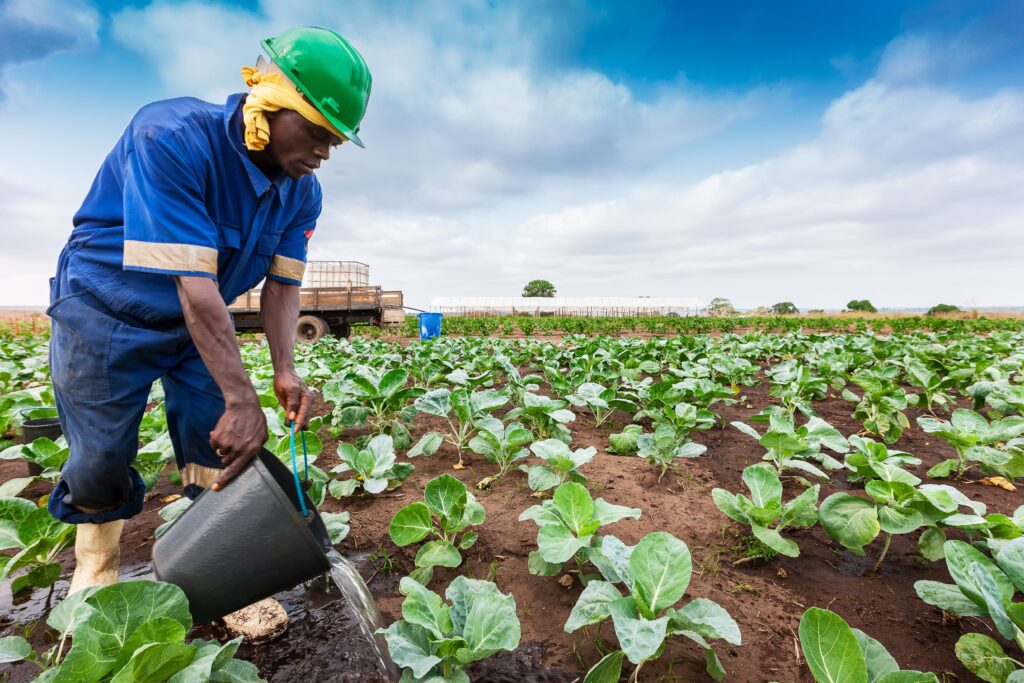 White Farmers Sue Federal Government Because Black People Truly Can’t Have Anything